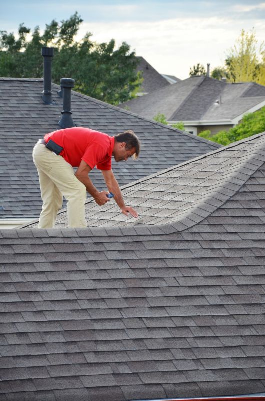 Professional Roof Repair